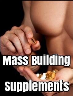 Mass Building Supplements