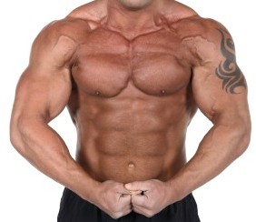 Bodybuilding Guide